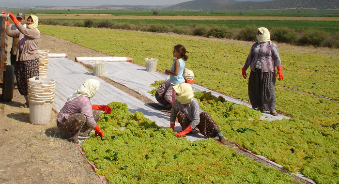 Farmer's Program