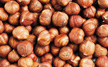 Hazelnuts