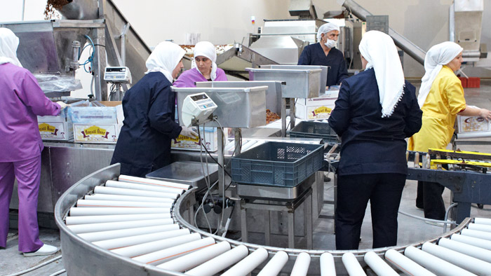 Raisins Weighing, Packing and Shipping